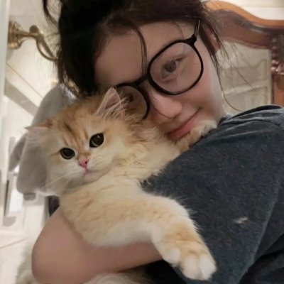 租赁猫