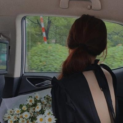 拿破仑美人关