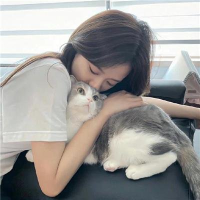 好人、巴特与洛基